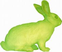 Флюорисцирующий кролик, полученный методом генной инженерии