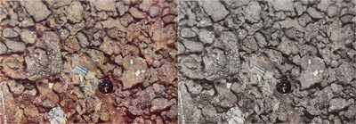 brownsoil.jpg