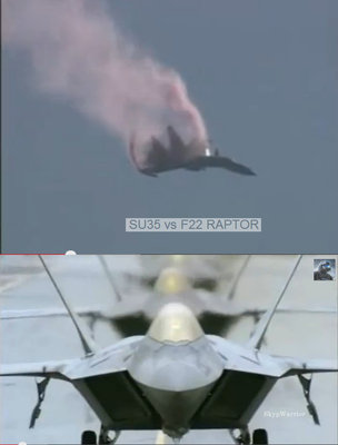 SU-35 vs F22.jpg