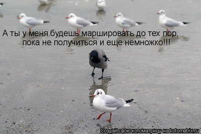 A0.jpg