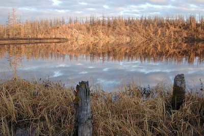 LakeSiberia0-pic4-452x302-2228.jpg